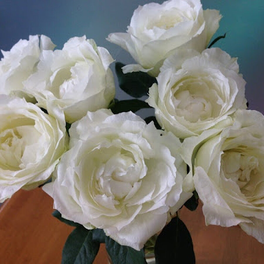 unnamed 3