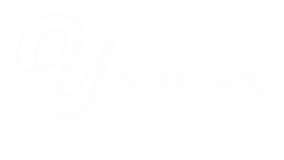 Yêu Hoa Hồng
